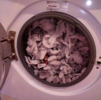 Сперва показалось, что пельмени в стиралке варили...