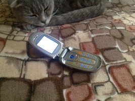 До сих пор хожу с таким))