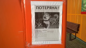 Если Вам будет приятно думать, что у нас одна машина на всех, то да, мы поочерёдно на ней катаемся. ;) Лишь бы не было войны, не ссорились и всё делали дружно.   Кстати, сегодня сфоткал (не попадалась?):