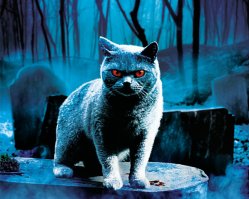 С.Кинг о чем-то догадывался))):