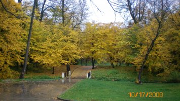 Какое то двоякое впечатление от фотографий. Некоторые очень красивы, иные.... Особенно удивляет, то что осень как ничто другое изобилует разнообразием красок и оттенков. Но даже основном жёлтом можно интереснее снять. Вот мои фото. Я не фотограф. Снимала давно на мыльницу. Просто прогуливаясь по парку, пережидая обед в конторе. Центральный парк города Калининграда.