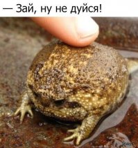 Лучшая мотивация