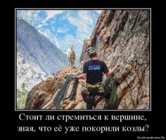 Горным козлам неведома боязнь высоты