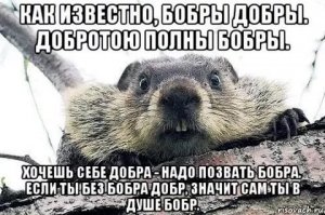 канадцы идиоты? ЖБ-опоры нА што?
