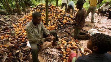 Под таким конвоем сопроводить к их привычному месту обитания.