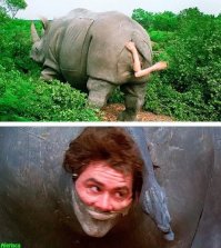 Маскировка военной техники