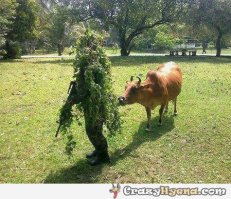 Маскировка военной техники