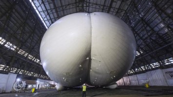 Проект Большая Жопа.