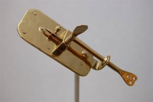 Поразительное сходство