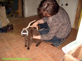 Поразительное сходство