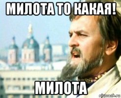 Щенок хаски пришёл в восторг от подаренной ему песочницы