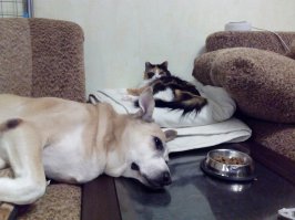 Мир дружба..:)