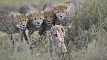 Снимки National Geographic