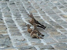 На одном из фото горизонт завален, вот оригинал: