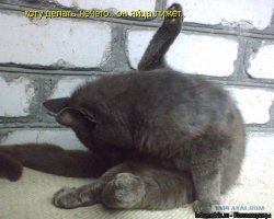 Чем нелепее - тем смешнее: парень из Москвы развивает "бытовой" косплей