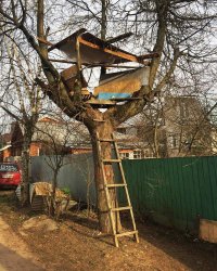 Да ладно... Мы в детсве тоже "штабик" на дереве строили :)