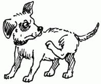 Новый трехколёсный мотоцикл Yamaha Niken