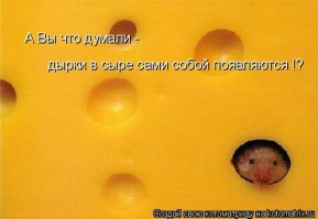 Откуда берутся дырки в сыре?
