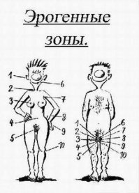 Все ясно: "опытный полицейский" - это женщина.