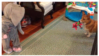 "Да ну нах#й" (c)