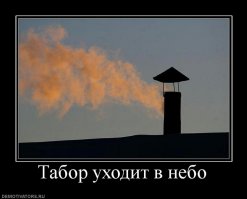 В описании цыган сказано-нищета,а у цыганских баронов особняки,построенные на вырученные от торговли наркотой деньги,а менты на это глаза закрывают.И такое не только в России,но и в Болгарии,Греции да и вообще наверно везде,где живут цыгане.