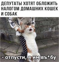 Очередная порция картинок с подписями