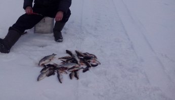 Молодец!!!
пеши ещё про рыбалку! Уважаю это дело!
вот.. вчера:)