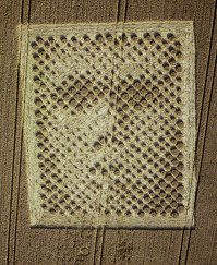 Автор похоже полный дебил или специально косит пол него... 15 лет назад гости нашей планеты уже прислали свои портреты с сообщениями на пшеничных полях в графстве Чилболтон, Англия. Эксперты определились с подлинностью, но определённая группа сукиных детей старается со временем замолчать эти факты...