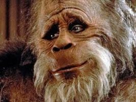 Какая милота!