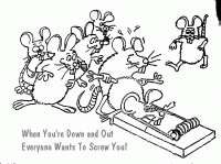 Оригинальная ловушка для мышей, которую можно легко сделать своими руками