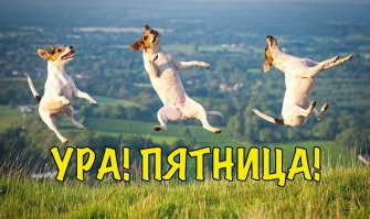 А у нас сегодня пятница!