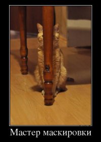 Мастера маскировки среди животных