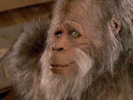 В Индонезии обнаружен новый вид орангутанов