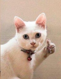 Оригинальная ловушка для мышей, которую можно легко сделать своими руками