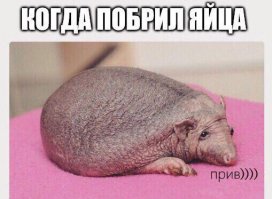 Очередная порция картинок с подписями
