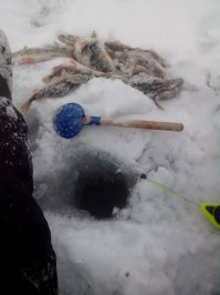вот.. буквально час назад..)))
-благодать, на улице +2С, лед 10см и рыбка клюёт не хило..))