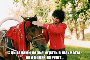 Новые цыгане: «белый табор»