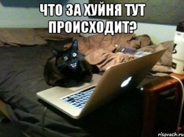 Гугл-переводчик сошёл с ума и выдаёт неожиданные и очень странные фразы при переводе с монгольского