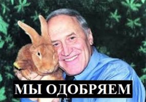 В Смоленске котенка выбросили прямо на проезжую часть