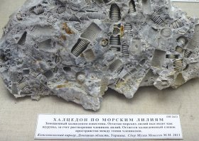 Таинственный отпечаток на древнем дольмене