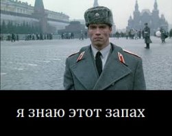Очередная порция картинок с подписями