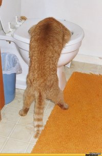 Адвокатские истории. Любовь и коварство