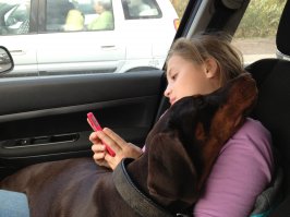 Это мои так в машине едут