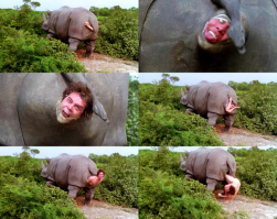 "Прелести" естественных родов, о которых умалчивалось