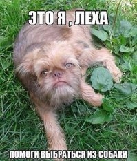 Игры природы