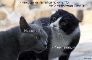 Смешные комментарии из соцсетей
