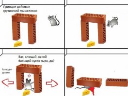 Национальные особенности охоты на мышей: