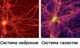 Като подметил, что скопление галактик уж больно похоже на скопление нейронов в нервных тканях, очень даже занятно ....Как знать быть может каждая наша клетка представляет из себя целые миры, как и любая солнечная система с планетами на орбитах - напоминает атом  электронами и их движением по орбиталям