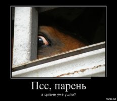 Жизнь кочевая не меняется веками