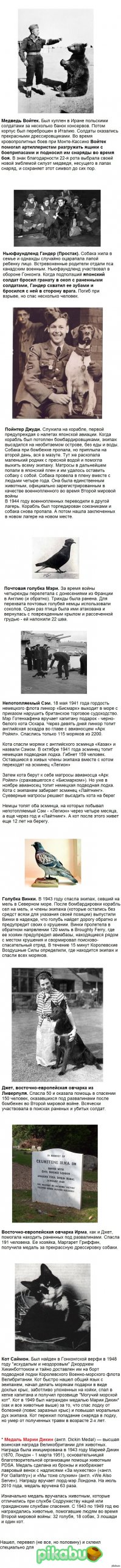 с пикабу